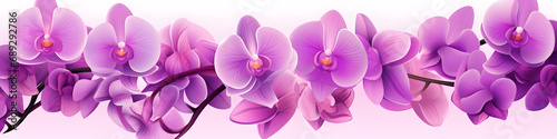 simple illustration of orchid flowers background banner