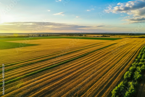 Aerial view on the field during sunset. Landscape from drone. Agricultural landscape from air. Agriculture - image