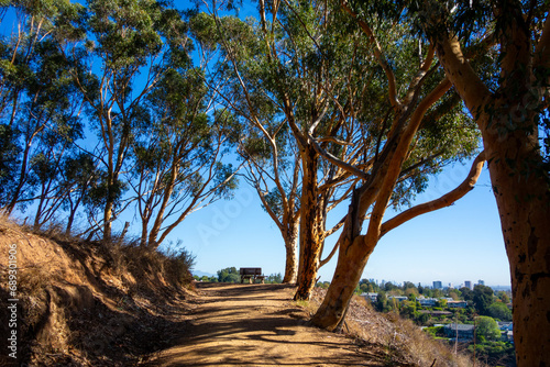 Foto Views of the Polo fields, mountains, coastal beach views, and eucalyptus trees i