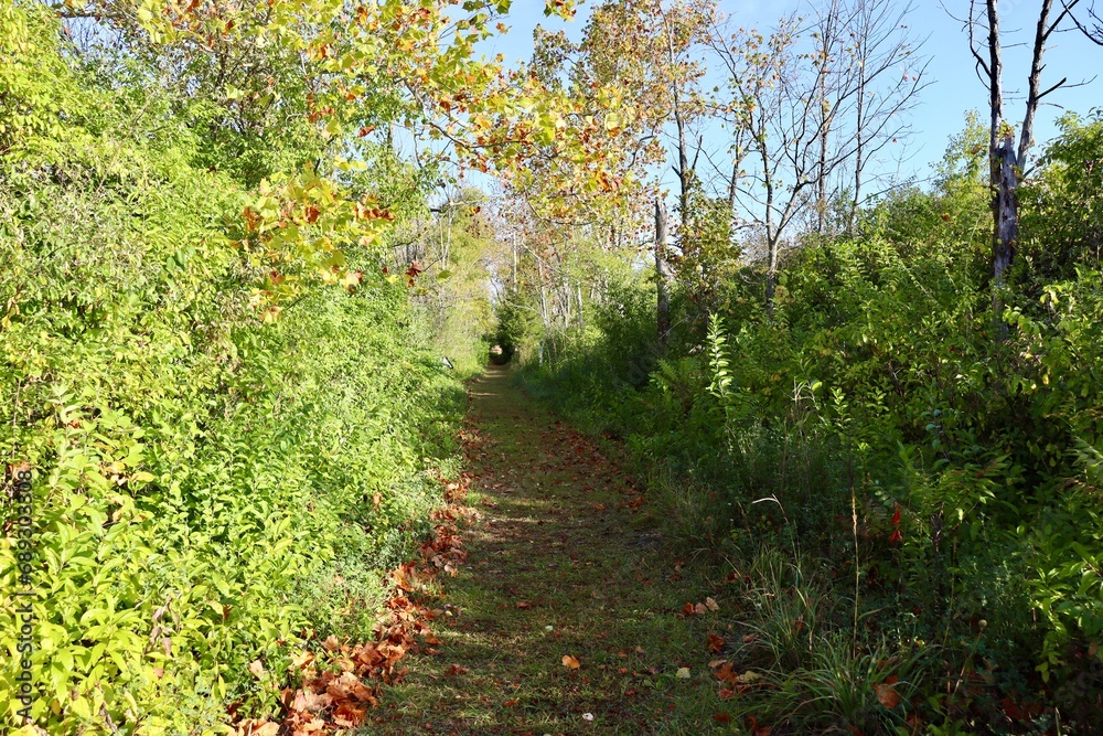 Naklejka premium The long path in the countryside on a sunny day.