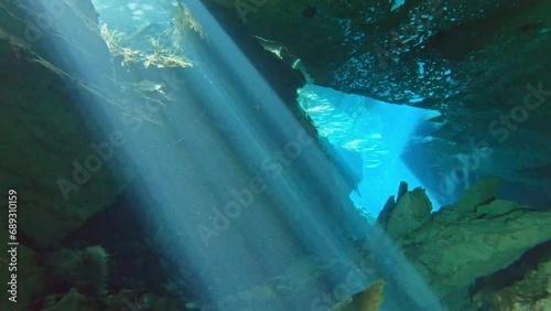 Diving under tulum, swimming under cave in Cozumel.  photo
