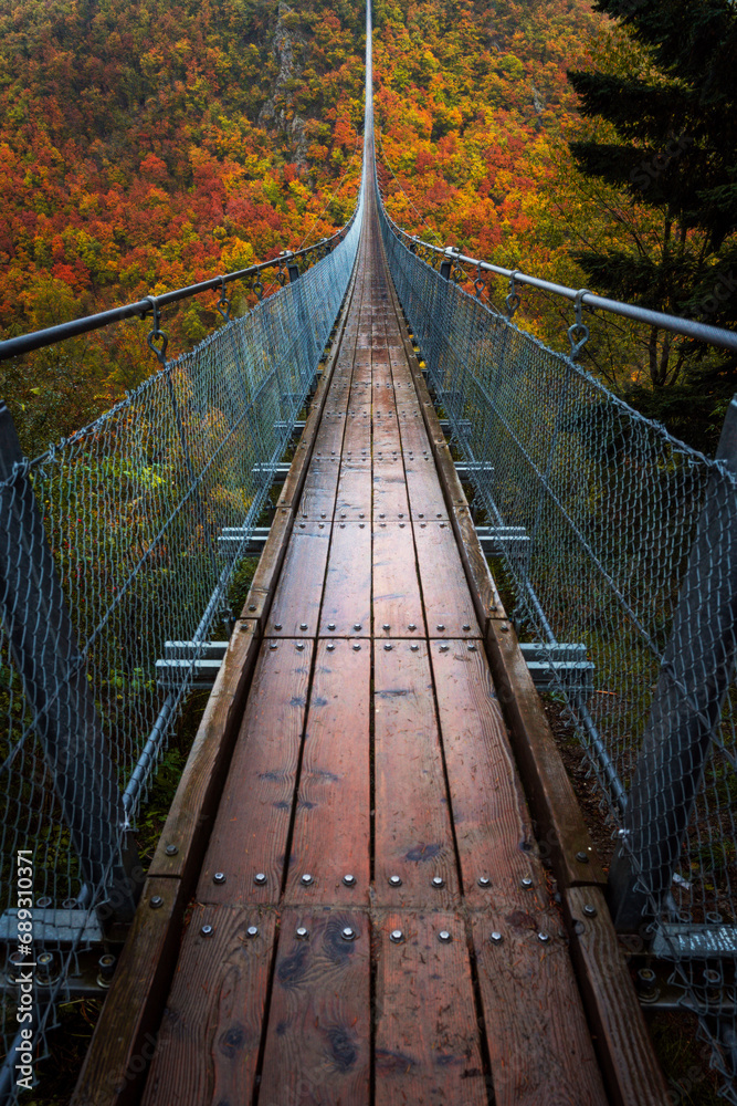 Hängebrücke Geierlay im Herbst
