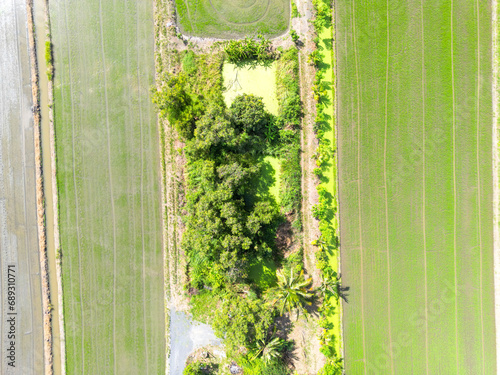 Aerial view the landscape greenfield of a lot of agriculture fields with solar roof top at warehouse. Farming and agriculture industry. urban area of Thailand.