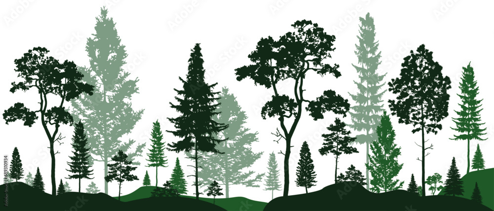 Green Forest landscape silhouettes panorama with pines, fir trees, cedars. Editable vector illustration with isolated stand alone trees for your own design. - obrazy, fototapety, plakaty 