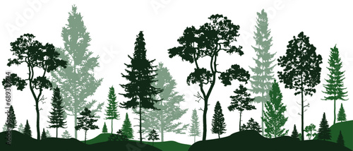 Green Forest landscape silhouettes panorama with pines, fir trees, cedars. Editable vector illustration with isolated stand alone trees for your own design.