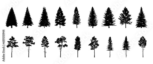 Set of conifer and fir tree silhouettes, black shapes on white background for forest designs. Vector illustration photo