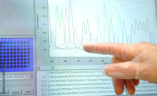 Sequencing of human DNA in a computer screen at a hospediatric research center highlighting the RNA nitrogen bases: adenine, guanine, cytosine and thymine