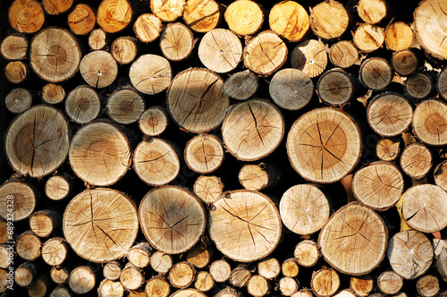 Pile of logs  A pile of freshly cut tree trunks viewed from the center section of the cut. Concept of deforestation