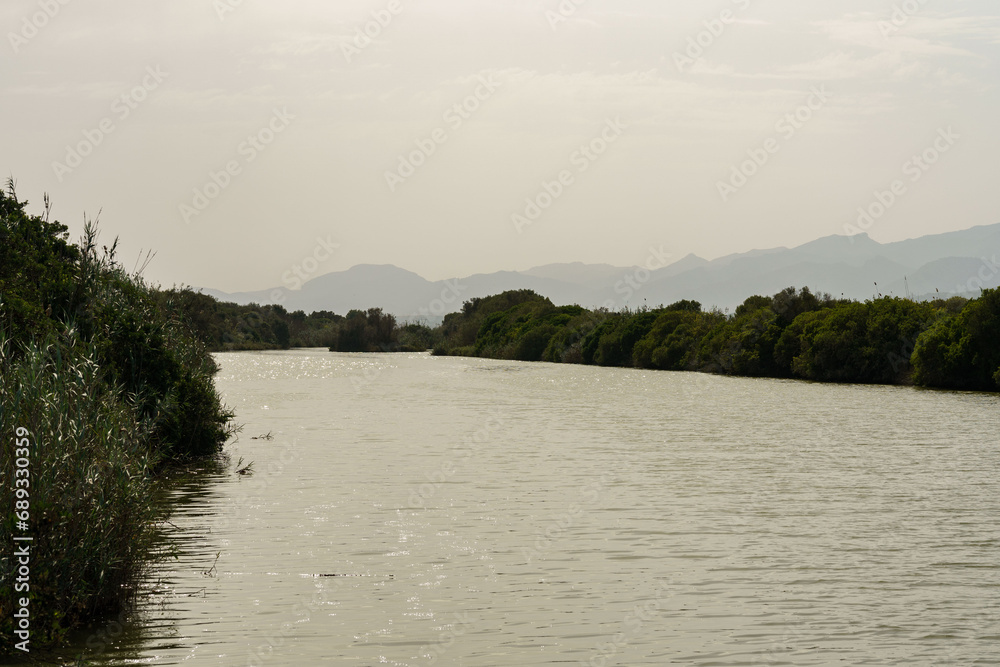Albufera de Mallorca Natural Park, Muro, Mallorca island, Spain Albufera de Mallorca Natural Park, Muro, Mallorca island, Spain