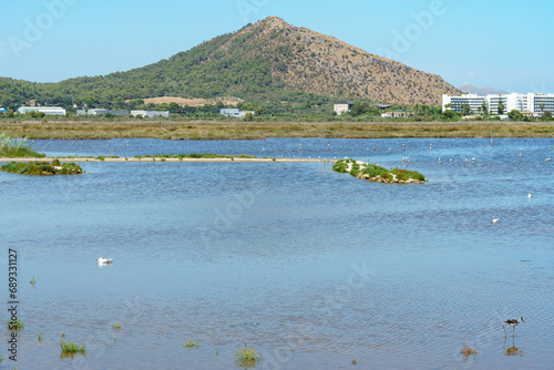 Принти на полотні Albufera de Mallorca Natural Park, Muro, Mallorca island, Spain