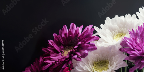 Purple and white daisies as a gift  for Valentine s Day  birthday or anniversary