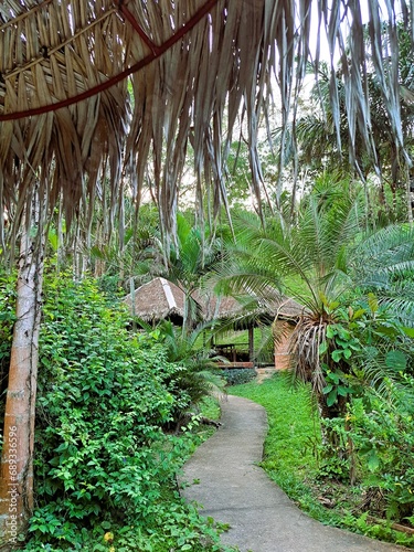 Cabins in a tropical garden with palm trees