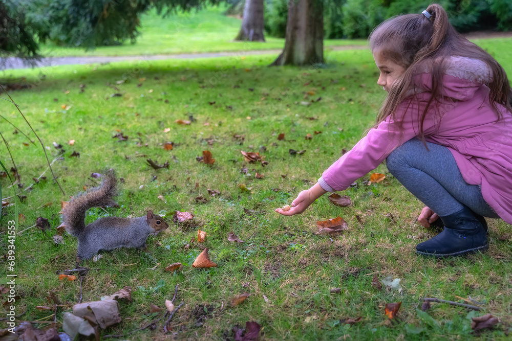 Young girl feeding from hand Grey Squirrel, Latin name Sciurus Carolinensis, with some peanuts in the park, Botanic Garden, Dublin, Ireland