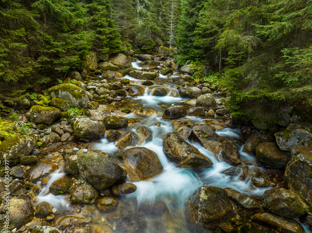Long exposure shot of the Demyanitsa River flowing over rocks through a lush, green forest in the Pirin Mountains. Long exposure shot of the Demyanitsa River flowing over rocks through a lush, green forest in the Pirin Mountains.