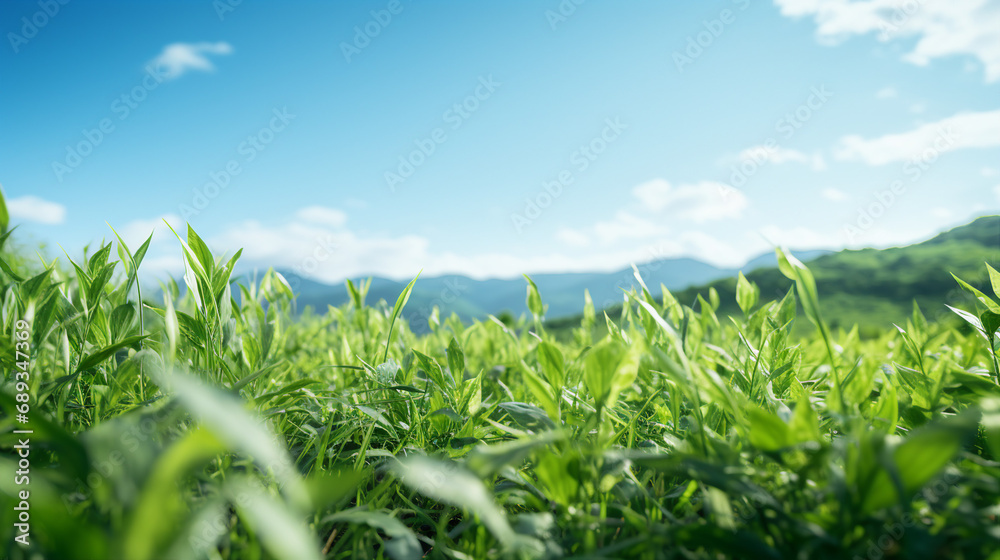 Obraz premium Extreme macro and expansive landscape photography of lush vibrant greennature greenery field depicting depth of field, perspective and environmental conceptual techniques