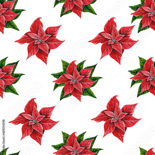 Christmas seamless pattern with poinsettia flowers, hand painted watercolor illustration isolated on white background. Floral illustration for Christmas decoration, postcards, invitations.