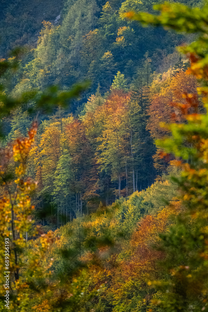 Hochschwab - Alpen - Herbst - Österreich