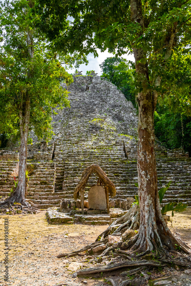 Coba Maya Ruins ancient buildings pyramids in tropical jungle Mexico. Coba Maya Ruins ancient buildings pyramids in tropical jungle Mexico.