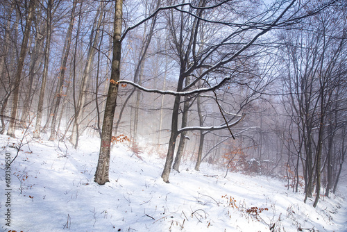 beautiful winter landscape in the forest,Armenia