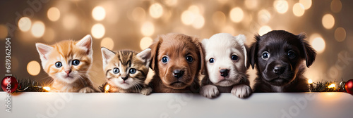 Christmas banner with cute puppies and kittens. Group of dogs and cats with red Santa hats above white banner looking at camera. Christmas signboard or gift card for pet shop or vet clinic.