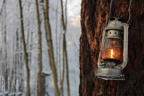 kerosene lamp shines on the bark of a pine tree in winter © Yar