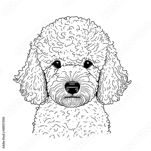 POODLE SVG