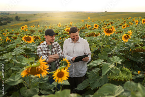 Smart farming. Two farmers using digital tablet for examine and check sunflowers in field. Agronomist team, analyse results of quality organic harvest. Agribusiness. Agriculture modern technology. photo