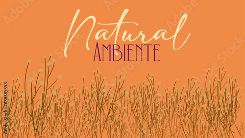 Ambiente natural