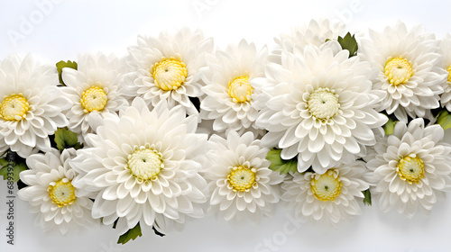 White flowers background   Flowers of delicate white chrysanthemums on a wooden background   Realistic White Chrysanthemum Flowers Isolated On White Background