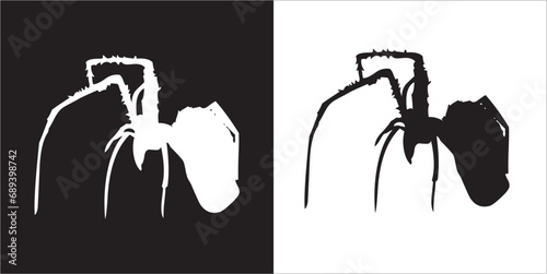 Illustration vector graphics of spider icon