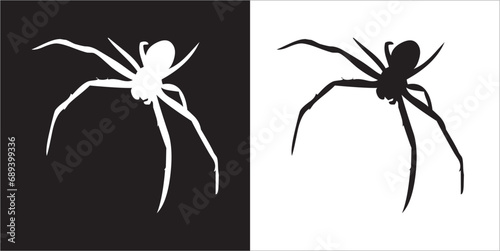 Illustration vector graphics of spider icon