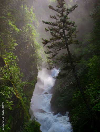 Solomon Gulch Waterfall and Leaning Tree