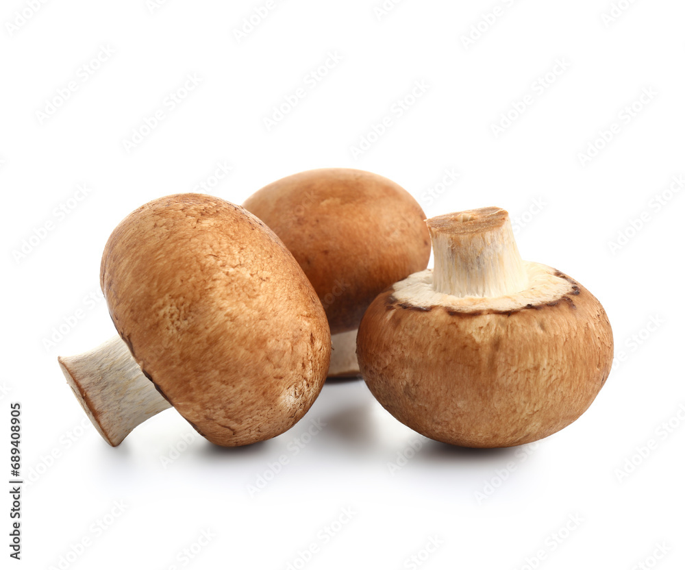 Set of raw champignon mushrooms on white background Set of raw champignon mushrooms on white background
