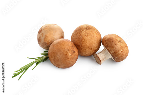 Set of raw champignon mushrooms with rosemary on white background