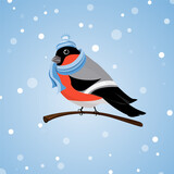 Vector bullfinch in a hat and scarf. Winter card with bullfinch.