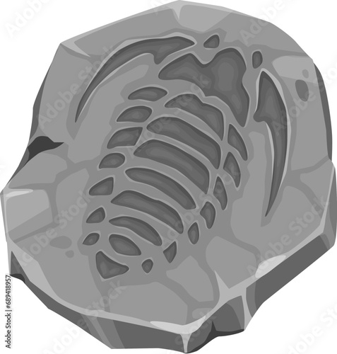 Ancient mollusc fossil imprint in stone. Jurassic era aquatic animal stone imprint, prehistoric mollusk skeleton paleontology museum rock or extinct trilobite, water fauna organism vector fossil