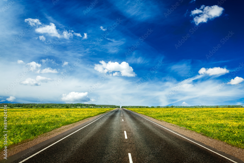 Travel concept background - an empty road with a blue sky and blooming green spring fields on either side