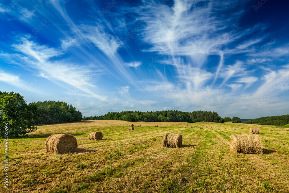 Agriculture background - a stunning summer landscape with hay bales scattered across a field, with a blue sky and wispy clouds in the background
