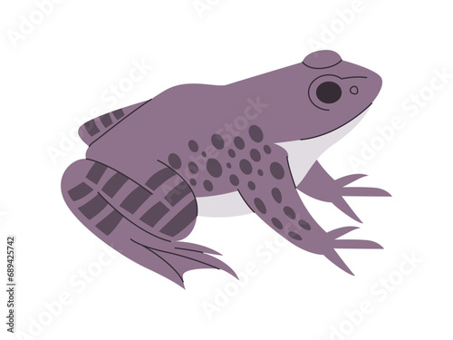 gray color toad or frog wild nature environment small animal and webbed foot creature