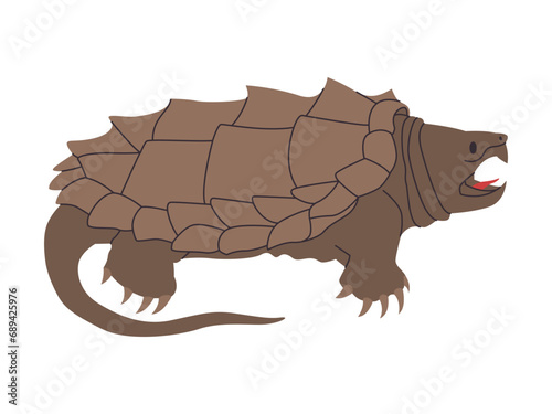 alligator or common snapping turtle wild reptile animal with mouth sharp tooth danger predator creature