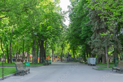 empty path surrounded with green trees in Shevchenko Park of kharkiv city