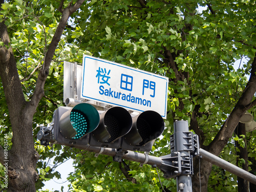 「桜田門」交差点の標識と信号機。(東京都千代田区内)
 photo