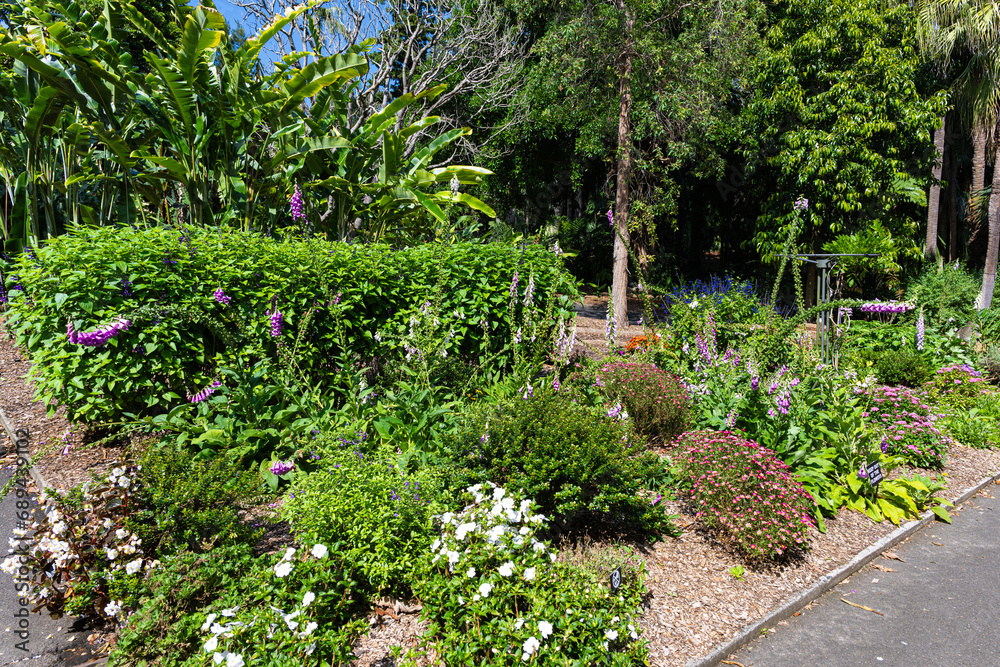 Naklejka premium The Botanical Gardens of Sydney Australia
