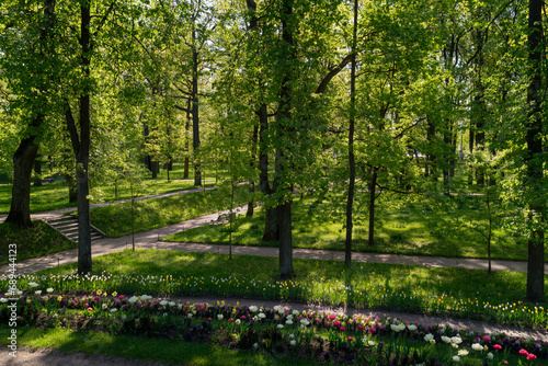 View of the alley and Flower Slide in Gatchinsky Park on a sunny summer day, Gatchina, Leningrad region, Russia