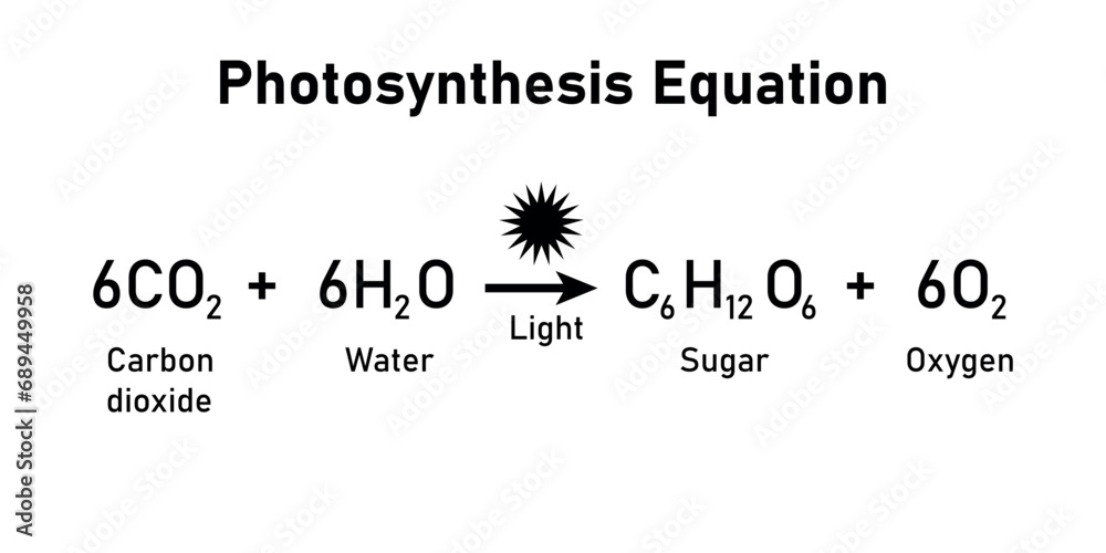 Photosynthesis equation. Carbon dioxide, water, sugars and oxygen