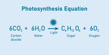 Photosynthesis equation. Carbon dioxide, water, sugars and oxygen. Chemical reaction with reactants and products. Chemical resources for teachers and students.