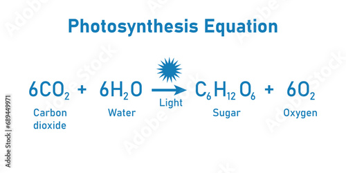 Photosynthesis equation. Carbon dioxide, water, sugars and oxygen. Chemical reaction with reactants and products. Chemical resources for teachers and students.