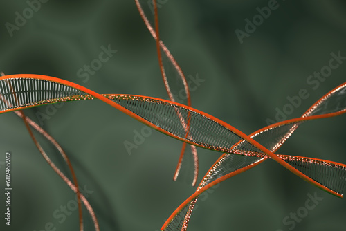 A closeup of the abstract  dna chain structure. Medical health science concept. 3d helix scientific  medical spiral genetic dna rendering illustration.