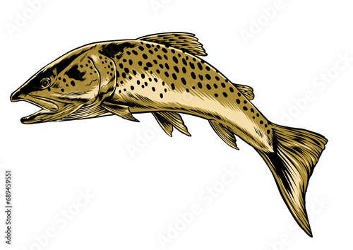 Trout fish for fishing lover sticker design (ID: 689459551)