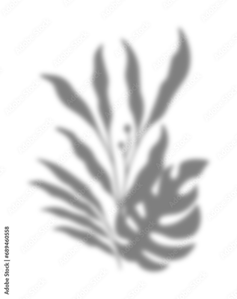 Leaf Shadow Illustration Graphic Element
